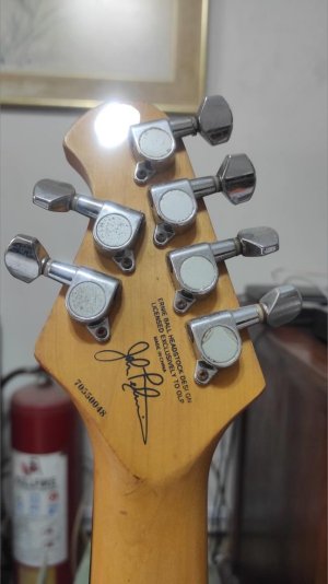 OLP Signature Series Electric Guitar 4.jpg