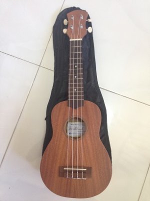 Ukulele 1.JPG