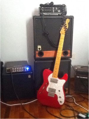 Thinline.jpg