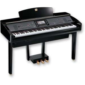 CVP309_1.jpg