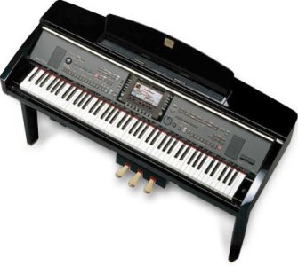 CVP309_2.jpg