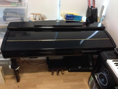 CVP309_3.jpg