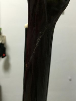 image9.jpg