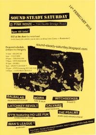 pink noize flyer.jpg