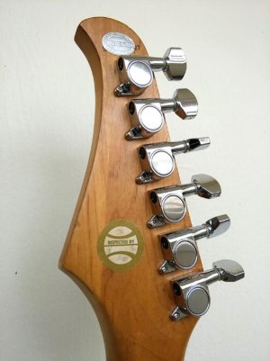 Silvertone4.jpg