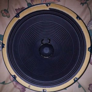 weber_10f150_guitar_speaker_1414328596_2ba0a875.jpg