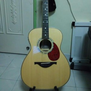 full_solid_body_custom_acoustic_fg98e_guitar__1421252519_41385597.jpg