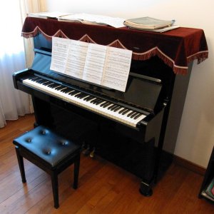 Yamaha 2.jpg Yamaha 2.jpg