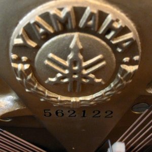 Yamaha 1.jpg Yamaha 1.jpg