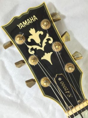 headstock_front.jpg