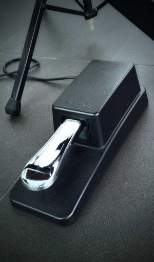 Sustain-Pedal.jpg