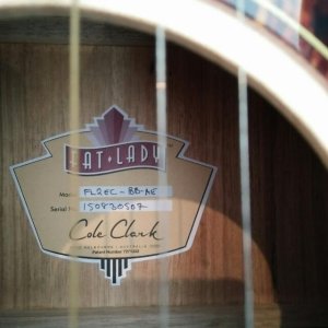 cole_clark_acoustic_guitar__fat_lady_2_1454732809_73302706.jpg