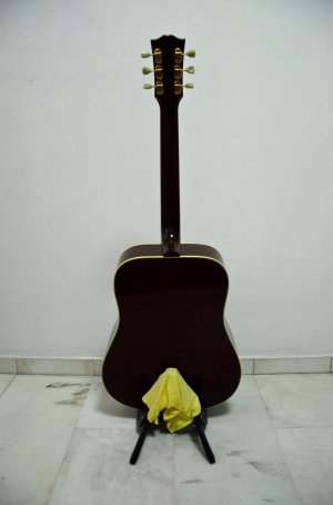 Gibson-TV-Bodyback.jpg