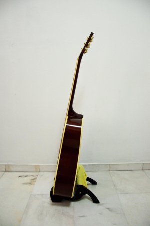 Gibson-TV-Bodyside.jpg