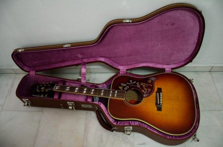 Gibson-TV-w-case.jpg
