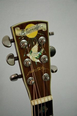 Blueridge-Headstock.jpg