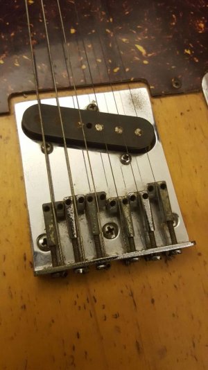1983 tele bridge.jpg 1983 tele bridge.jpg