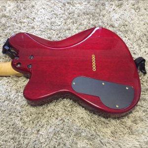 ibanez_pgm_900_with_prs_5708_1459677749_4b3a6911.jpg