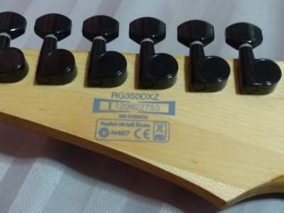 P1010524.jpg