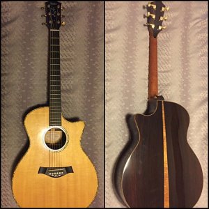 taylor_gace_fall_limited_cocobolo_rare_1459246564_e9fbde8e.jpg