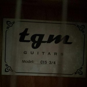 tgm_guitar_model__c15_34_1457224613_d266581c.jpg
