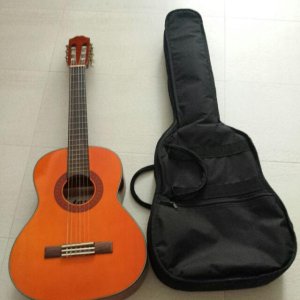 tgm_guitar_model__c15_34_1457224613_7c24d6ca.jpg
