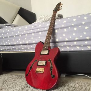 ibanez_discontinued_pgm900_with_prs_5708_1461899400_19b4152f.jpg