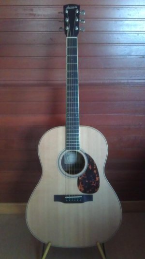 larry guitar.jpg
