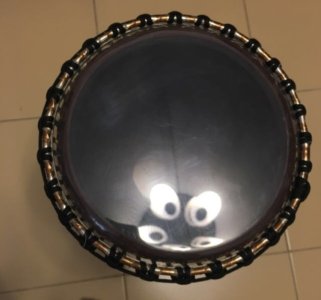 FullSizeRender2.jpg