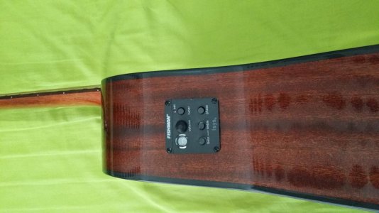Sigma dm st1 Fishman Isys+.jpg
