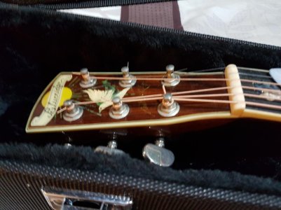 20160421_103733.jpg