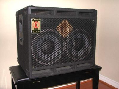 Eden 210XLT Front.jpg