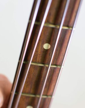 bass4.jpg