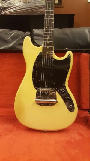 mustang body.jpg