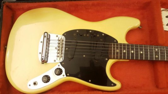 mustang close up.jpg