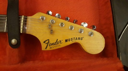 mustang headstock.jpg