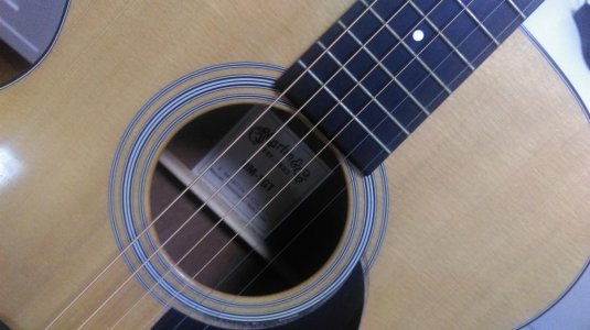 IMAG0754.jpg