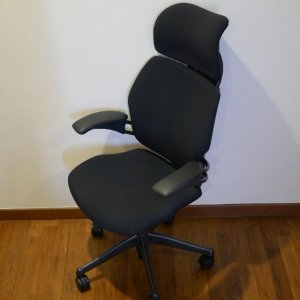 humanscale_freedom_chair_ergonomic_1467689759_141be780.JPG