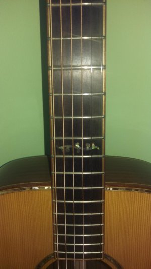IMAG0506.jpg