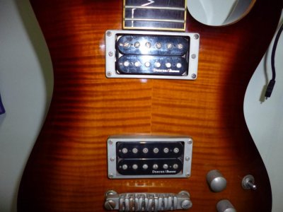 IbanezPICKUP.jpg