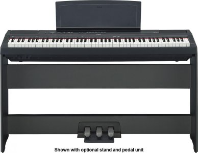 Yamaha-P115-4.jpg