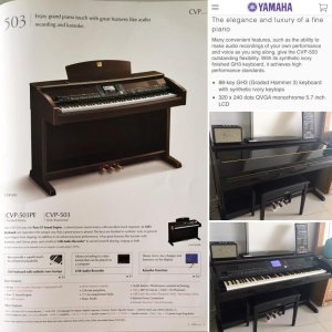 F6A95BED-25FB-4B97-994A-08ACA0A42D1C.jpg