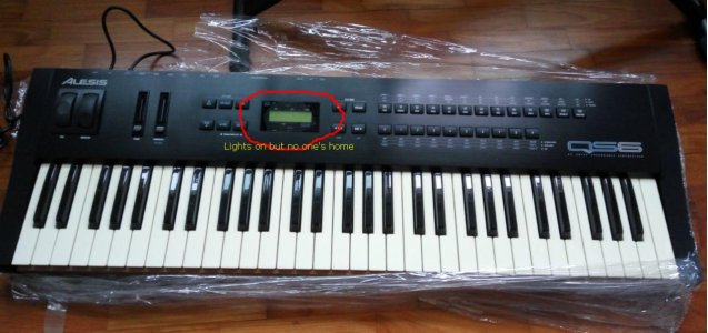 Alesis QS 6 dead but undead.jpg