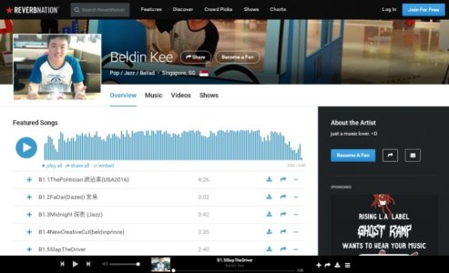 Beldin_reverb_20161125F_v1.jpg