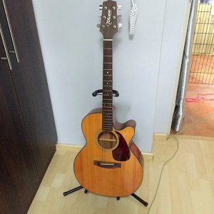 takamine_ed50cn_1481823342_06cb84ea.jpg