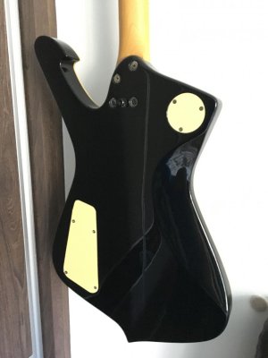 image5.jpg