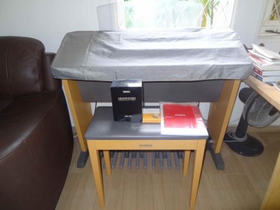 Yamaha Electone ELB-01_with cover.jpg Yamaha Electone ELB-01_with cover.jpg