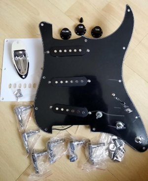Strat parts 1.jpg