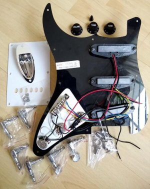 Strat parts 2.jpg