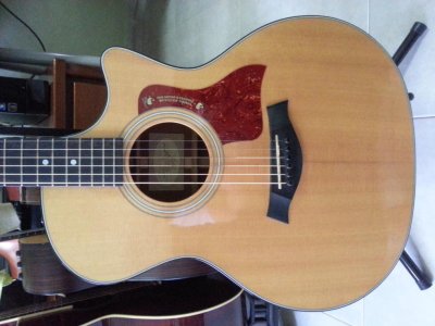 Taylor314CE-2011b.jpg